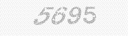 Visual security code — type the characters shown in the image